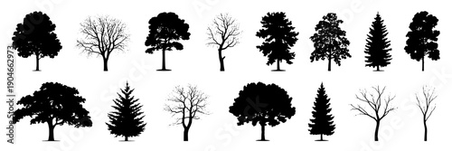 Trees silhouette set with various shapes and sizes in black featuring silhouettes, white, forest with landscape and nature elements for environment, foliage projects, clean composition on simple