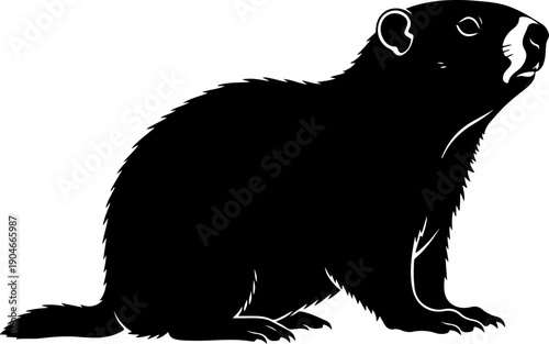 Groundhog silhouette vector illustration