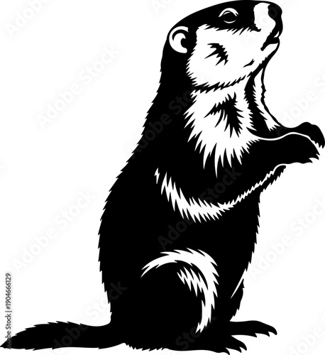 Groundhog silhouette vector illustration