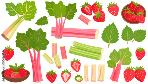 Assorted Rhubarb and Strawberry Illustration.