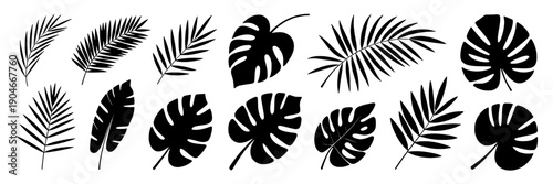 Leaves tropical silhouette set with palm fronds and monstera split leaf shapes, black botanical icons for summer nature design, jungle decor, and exotic foliage clipart