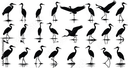 Set of heron and egret silhouettes, standing and flying water bird vector illustrations collection, wetland wildlife nature design elements isolated on white background.
