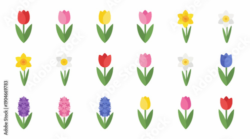 Collection of Colorful Tulip Illustrations.