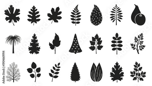 Diverse botanical silhouettes illustrating the variety of nature's foliage and plant forms
