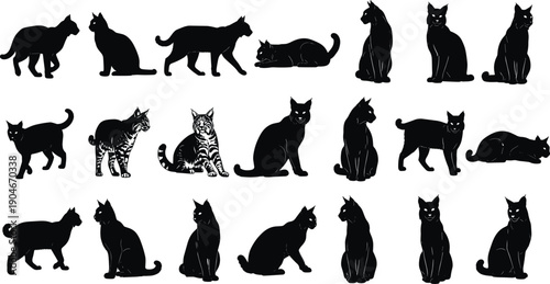Set of cat and wild feline silhouettes, domestic pet and lynx bobcat vector illustrations collection, standing sitting walking poses isolated on white background.