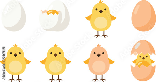 Vector illustration set of cute yellow chicks, white and brown eggs, cracked egg with yolk, and a newborn chick hatching isolated on white background