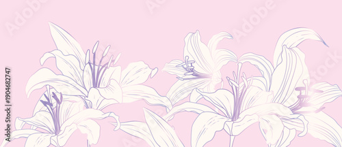 Floral line vector background with lily outline bouquet on pink background with soft gradients in pink and lilac and white. Sweet design for card, invitation, poster, wallpaper.