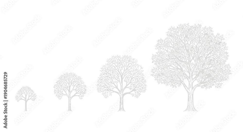 Fototapeta premium Stages of Tree Growth: Sapling to Mature Tree Illustration on White Background