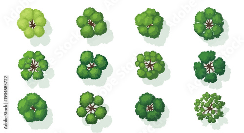 Collection of Top View Tree Icons for Landscape Design and Nature Illustrations