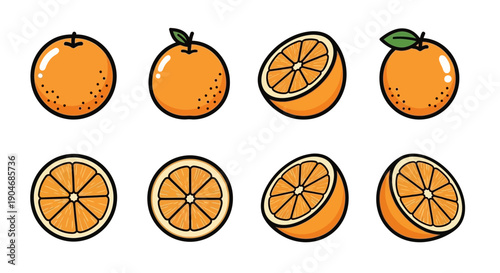 Collection of Fresh Orange Slices and Whole Fruits in a Stylized Vector Illustration