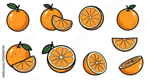 Collection of Vibrant Orange Citrus Fruit Vector Icons and Slices, Fresh and Juicy