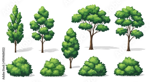 Collection of Vibrant Green Trees and Bushes in Various Shapes and Sizes