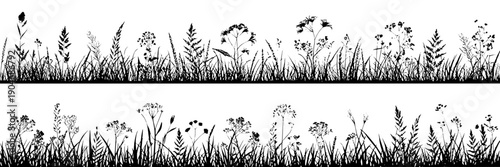 Grass meadow border silhouette set with wildflowers and herbs, horizontal black floral edge frames for nature design, spring field decoration, isolated on white