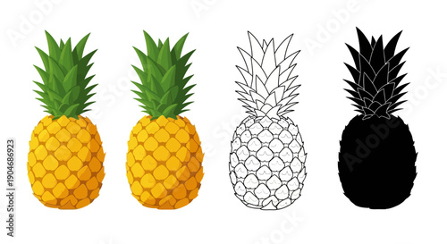 Set of Four Pineapples: Two Realistic, Art and Silhouette Illustrations