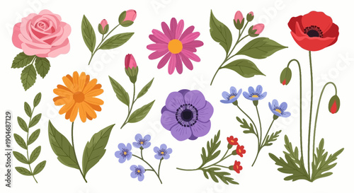 Collection of Vibrant Botanical Flowers and Leaves in a Flat Design Style