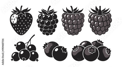 Collection of Fresh Berries Icons: Strawberry, Raspberry, Blackberry, and Currants