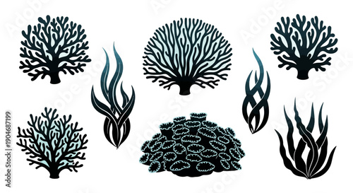 Set of Stylized Coral and Seaweed Illustrations on White Background