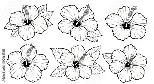 Set of Hand-Drawn Hibiscus Flowers with Leaves, Black and White Vector Illustrations