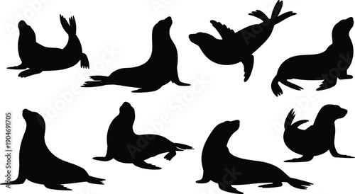 Sea Lion Silhouette Collection Set Isolated on White Background, Marine Mammal Poses and Ocean Wildlife Shadow Illustration