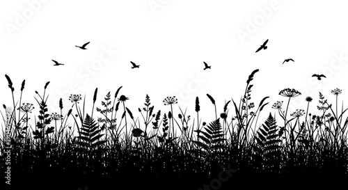 Silhouette of Wildflowers and Grass with Birds Flying in the Sky