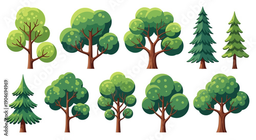 Collection of Diverse Cartoon Trees and Evergreen Conifers for Nature Illustration