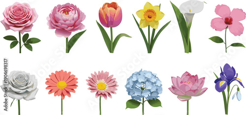 Colorful spring floral collection featuring realistic rose, tulip, peony, and lily illustrations for wedding invitations, greeting cards, botanical patterns, and elegant garden themed 