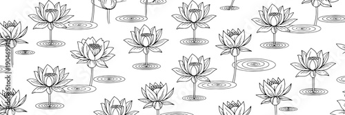 Water lilies black and white line art set with simple elegant designs and minimalist pond scenery featuring flowers, aquatic plants, serene with calm and peaceful elements for decorative,