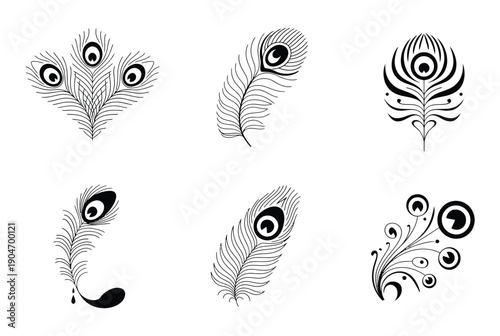 Collection of peacock feather designs in a vector illustration style with unique patterns
