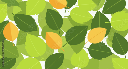 Collection of Various Green and Yellow Leaves.