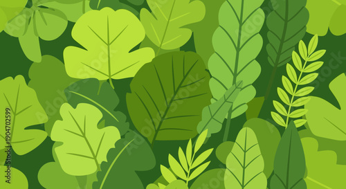 Collection of Various Green Leaves Illustration.