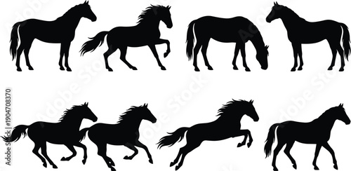 Horse silhouette set showing running standing grazing and jumping equine poses isolated on white background wildlife vector illustration