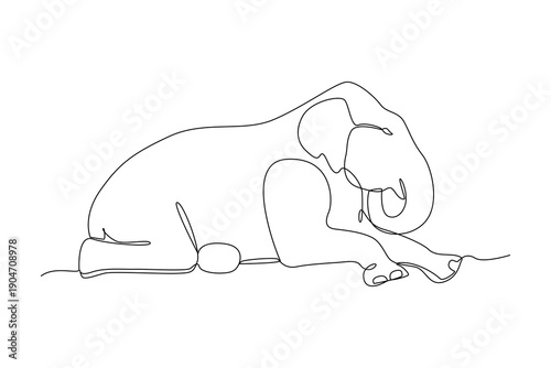 Sleeping Elephant Calm Mammal. Mammals Concept. Single line draw design Video 4k. Footage graphic illustration