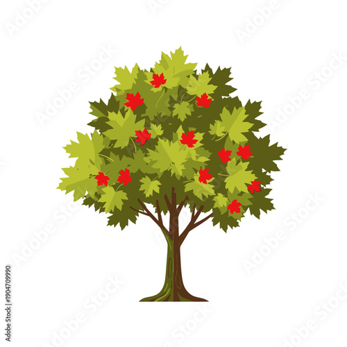Vibrant stylized graphic of a deciduous tree, showcasing a green canopy with red leaves, representing nature, seasonal change, and healthy growth