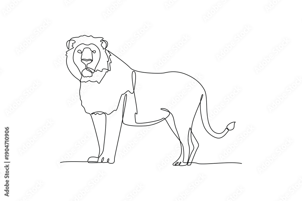 Obraz premium Standing Male Lion Wildlife. Wild Animal Concept. Single line draw design Video 4k. Footage graphic illustration