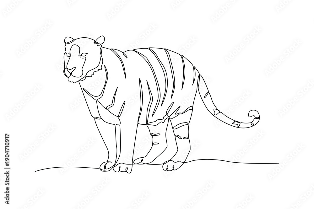 Naklejka premium Tiger Standing In Wild Nature. Wild Animal Concept. Single line draw design Video 4k. Footage graphic illustration