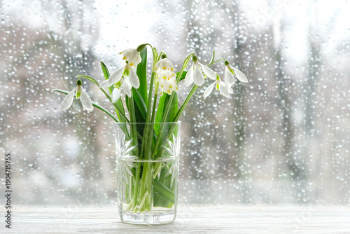 Fotografija bouquet of snowdrops in glass vase on windowsill, window glass with rain drops texture background
