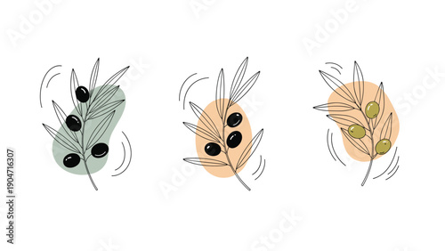 Artistic illustration of three olive branches with black and green olives over abstract colorful shapes on white background.