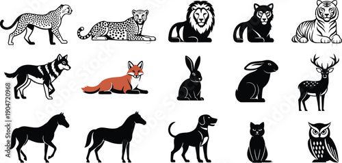 Collection of various animal illustrations