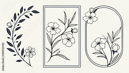 Collection of three minimalist botanical line art drawings featuring flowers and leafy branches.