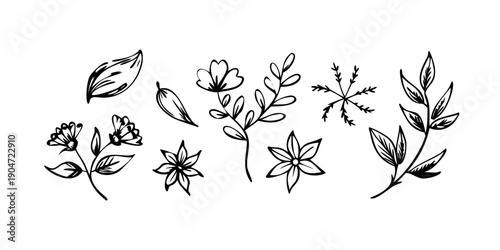 A collection of various leaves and flowers in a delicate and intricate line art style. Vector