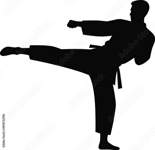 Dynamic silhouette of a male martial artist performing a powerful high kick in a karate stance