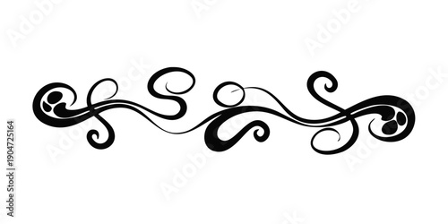 Intricate black and white decorative swirls with elegant flourishes Vector