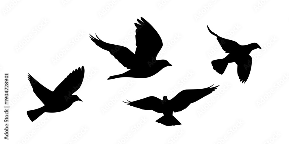 Obraz premium Five birds flying in a clear sky with black silhouettes against a white background Vector