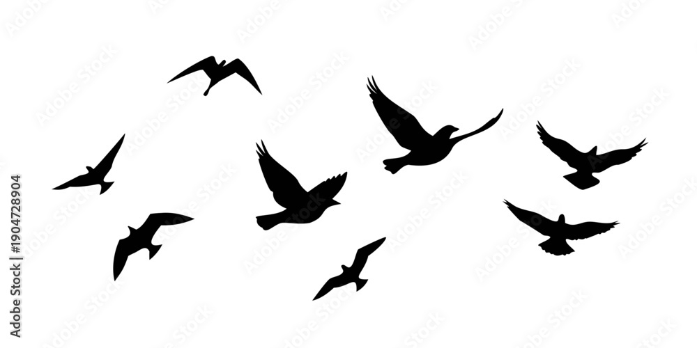Obraz premium A flock of birds flying in a v-formation against a white background Vector