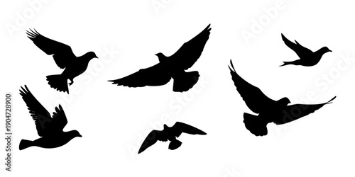 A flock of birds in flight against a white background. Vector