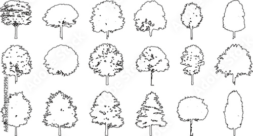 Collection of black and white line of various deciduous and coniferous trees plant plants nature
