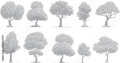 Collection of ten stippled trees in various shapes and sizes nature forest woodland