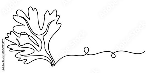 Coriander leaf continuous one line drawing, One continuous line illustration of an coriander leaves, isolated on white background. 
