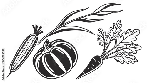 Hand drawn collection of garden vegetables including pumpkin carrot and leafy greens