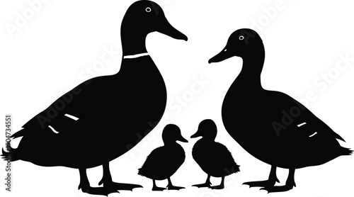Silhouette of two adult ducks and two ducklings standing together